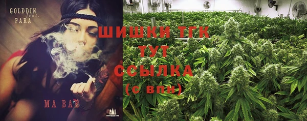 МДПВ Алзамай