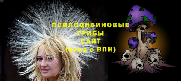 МДПВ Алзамай